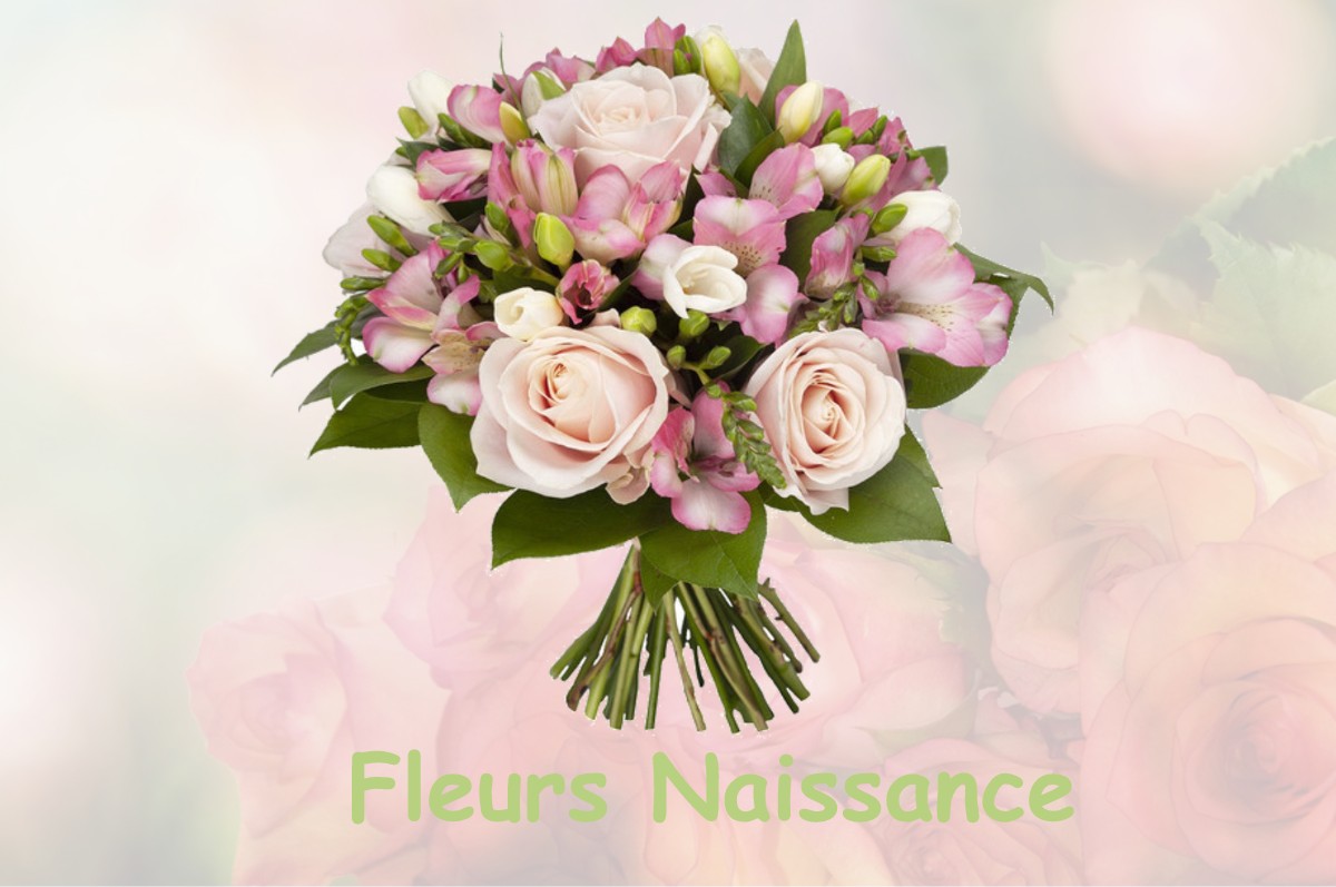 fleurs naissance LA-BRUERE-SUR-LOIR